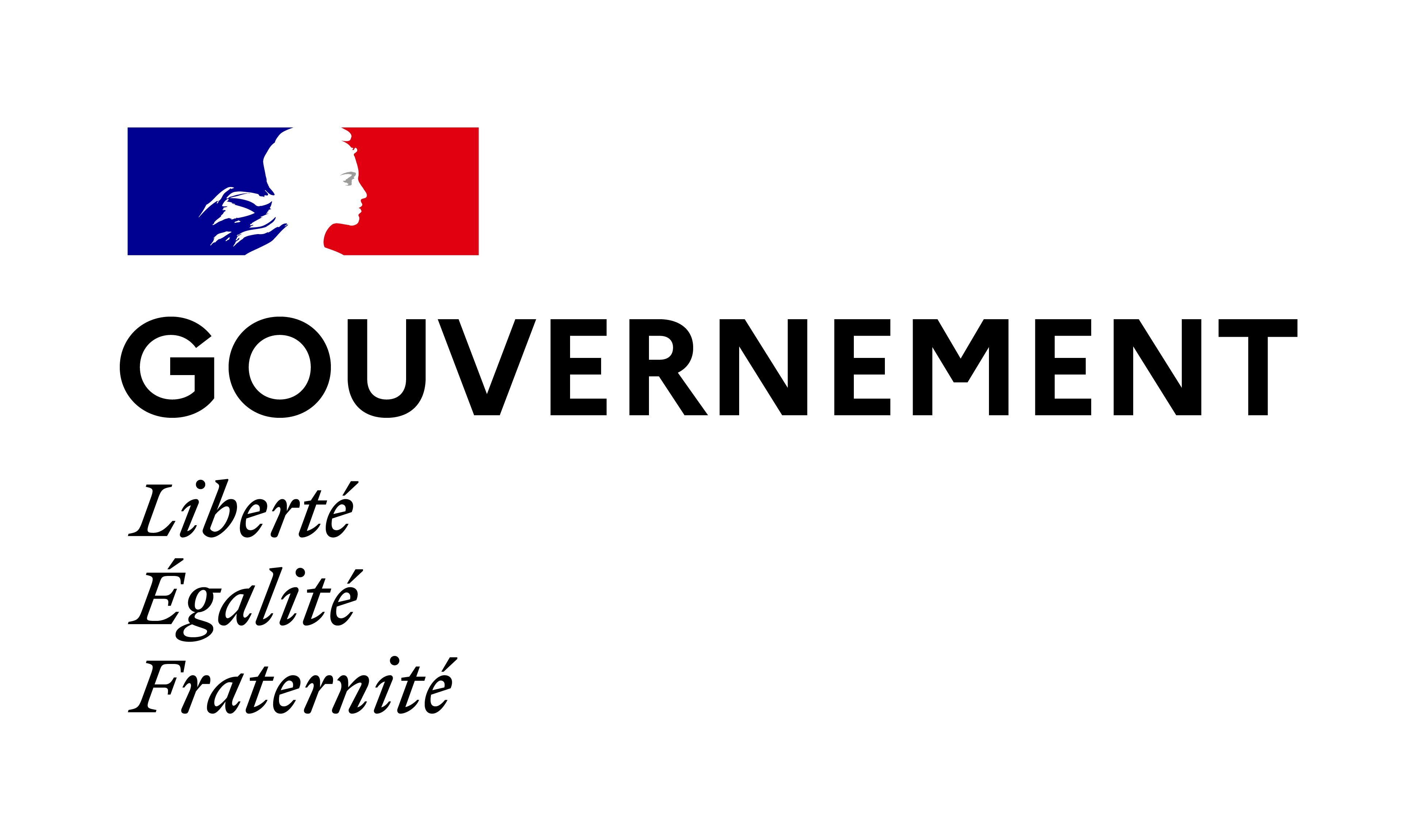 Logo_Gouvernement